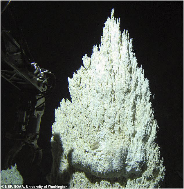 Ancient 'lost city' found at bottom of the Atlantic Ocean holds clue to origins of life